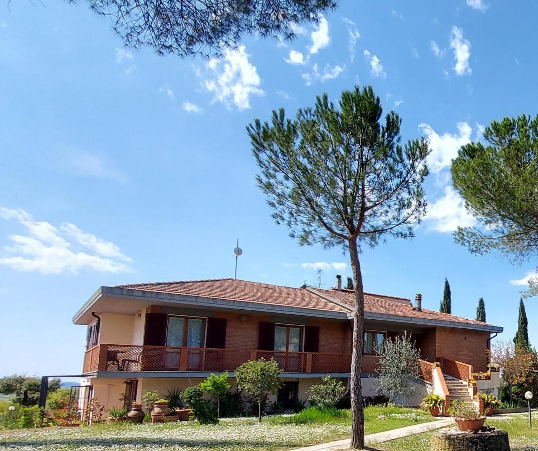 Villa Del Biondo 切塔尔多 外观 照片